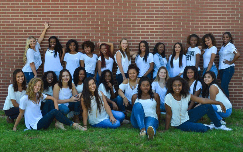 The step team posing for a team picture