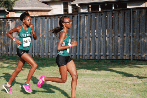 Cross Country Shines at Meet