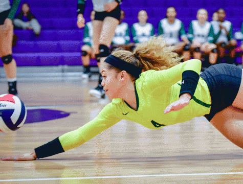 Volleyball Playoffs