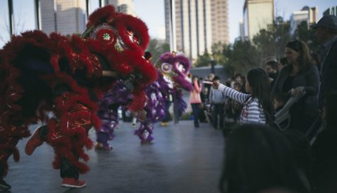 Hear Them Roar: Priscilla and Trieu Tran