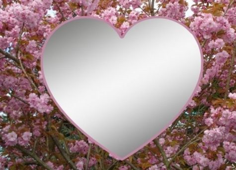 Top 5 things to do on Valentine’s Day: Single’s Version