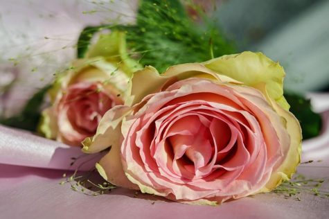 Lake Ridge Parents Write Obituaries for Their Children
