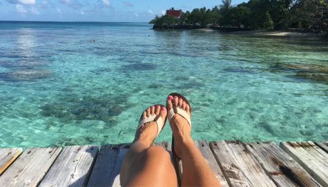 Summer: At Home and On the Go