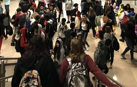 Shoulder to Shoulder: Overcrowding at Lake Ridge