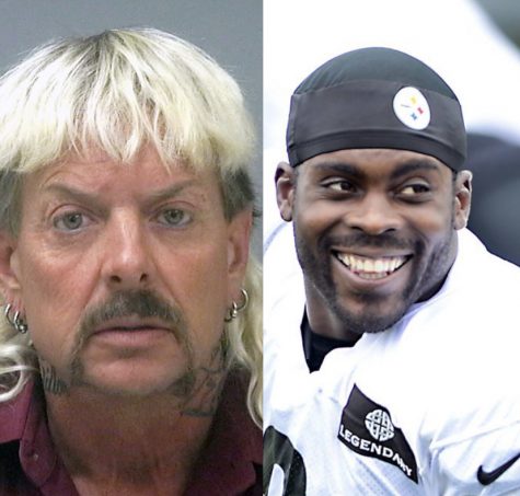 Before there was a Joe Exotic, there was a Michael Vick. Both guilty of animal abuse, but are thought of differently.
