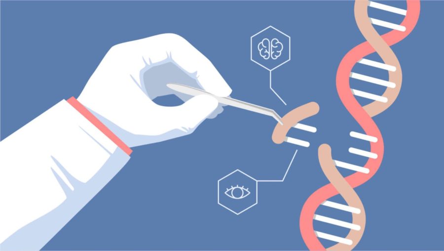 Genetic engineering is being newly introduced into the medical field, in hopes of it being a solution to various medical conditions.