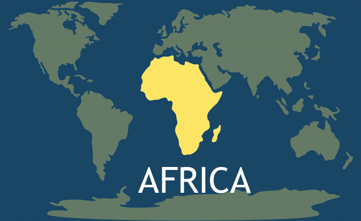 Whats+Wrong+Africa%3F