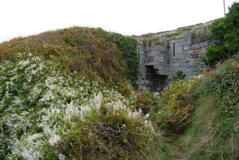 Remains of an overgrown fort in Alderney. Overgrown Fort by Tom Colls is licensed under  CC BY 2.0