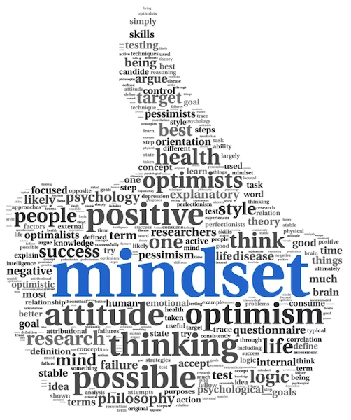 Developing a Successful Mindset