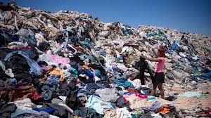 The Fast Fashion Industry