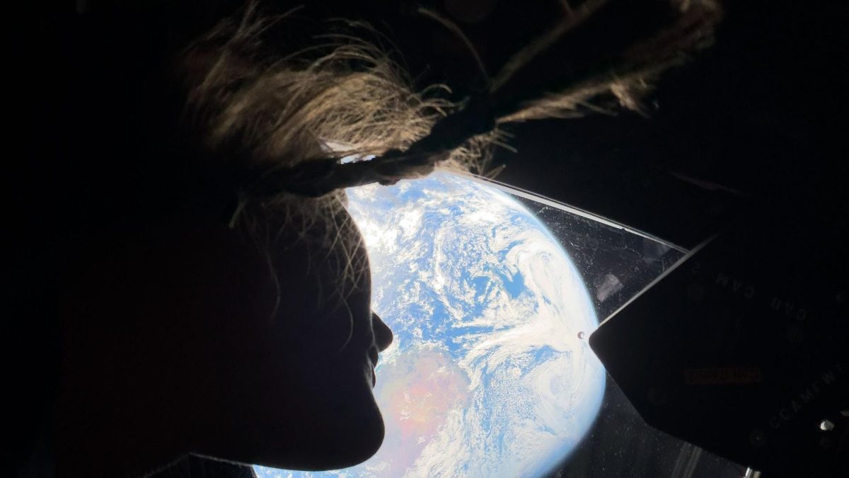 Image from Kristina Koch.
